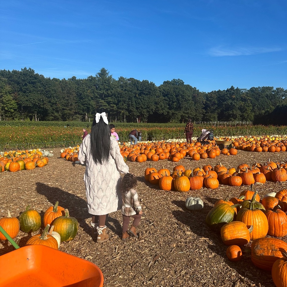 Meet your Posher, Chelsea